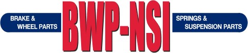 NSI Logo