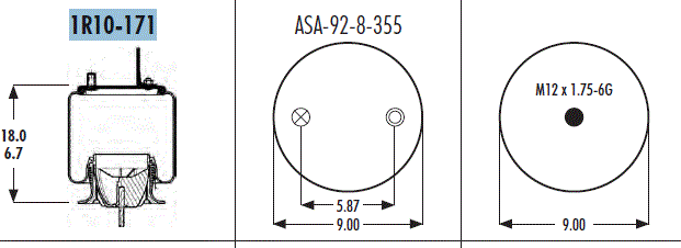 AS1R10171