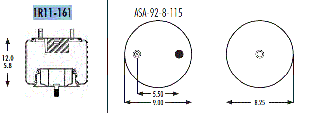 AS1R11161