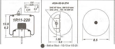 AS1R11220