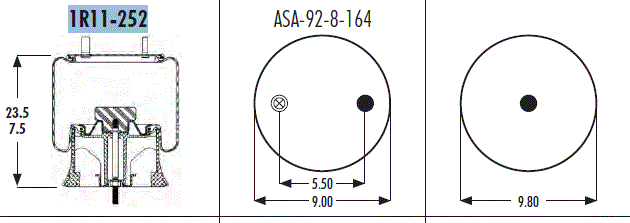 AS1R11252