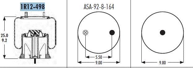 AS1R12498