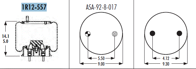 AS1R12557