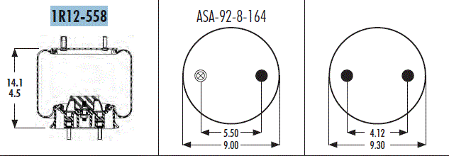 AS1R12558