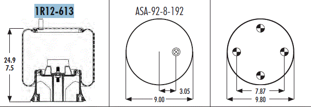 AS1R12613