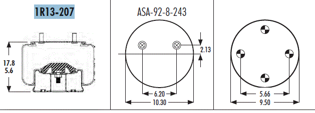 AS1R13207