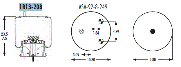 AS1R13208