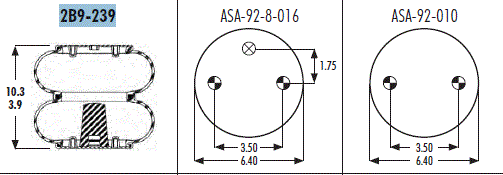 AS2B9239