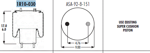 AS1R10030