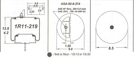 AS1R11219