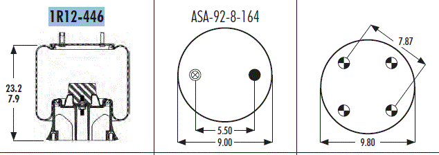 AS1R12446