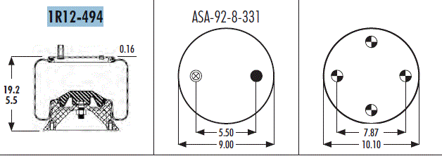 AS1R12494