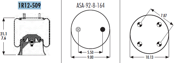 AS1R12509