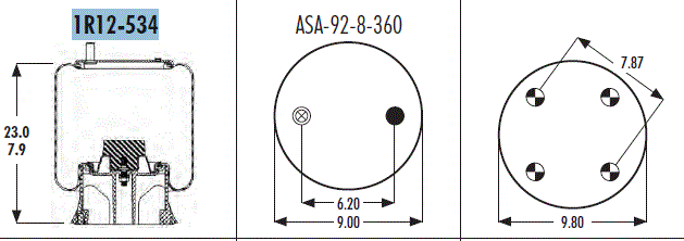 AS1R12534