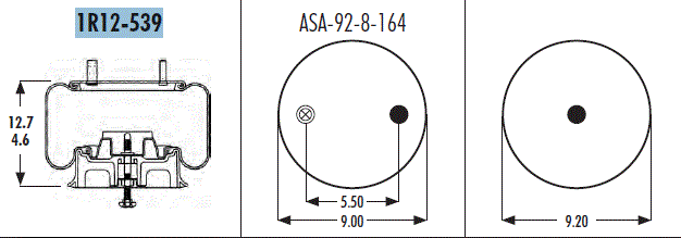 AS1R12539