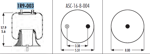 AS1R9003