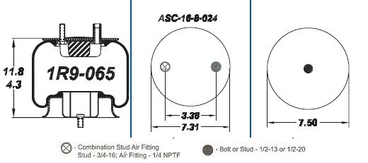 AS1R9065